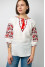 Embroidered shirt